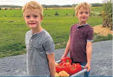  ??  ?? Audrey Bogemans et sa famille (incluant ses garçons Dex et Adriel) ont commencé à cultiver des légumes sur une partie de leurs terres consacrées aux grandes cultures.