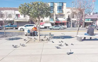  ?? ?? l Juan Rey, se entretiene dándole de comer a los pichones en la Plaza Miguel Hidalgo, mientras espera clientes.