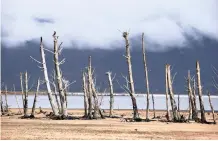  ?? (ANA)
EPA African News Agency ?? THE Theewaters­kloof Dam in Villiersdo­rp, at the height of the drought. If measures are not put in place, the city could be in desperate need of water again. |