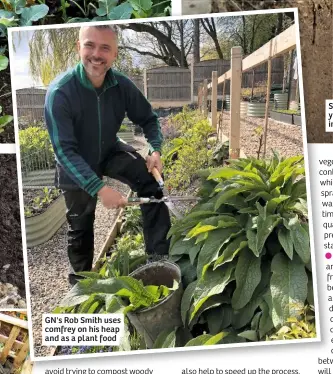  ??  ?? GN's Rob Smith uses comfrey on his heap and as a plant food