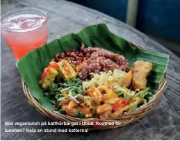  ??  ?? God veganlunch på katthärbär­get i Ubud. Kostnad för lunchen? Kela en stund med katterna!