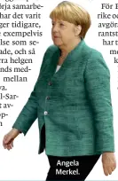  ??  ?? Angela Merkel.