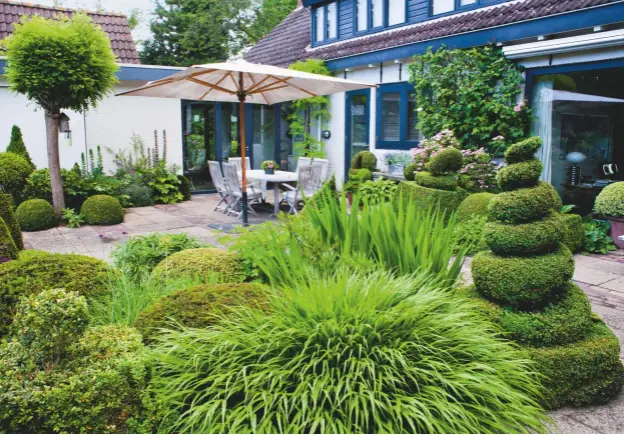  ??  ?? ABOVE A mixed planting of hostas, ferns and grasses creates a lush patchwork of greens around the semi-formal terrace next to the house. Sculptural form and height are provided by box topiary.