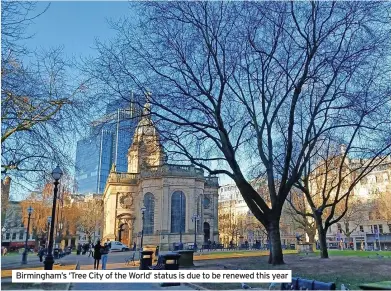  ?? ?? Birmingham’s ‘Tree City of the World’ status is due to be renewed this year