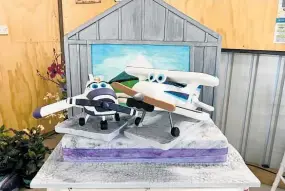  ?? Photo/ Supplied ?? The 3D plane cake is one of Annette’s highlights from this wedding season.