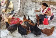  ??  ?? Mamta takes up poultry farming under P2P programme.