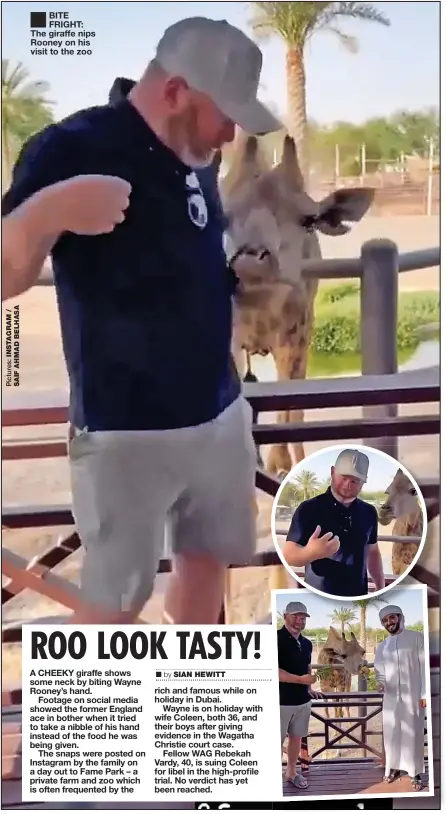  ?? ?? BITE FRIGHT: The giraffe nips Rooney on his visit to the zoo