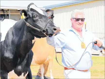  ?? LVN220120s­howg ?? Selwyn Donald with another of his Friesians.