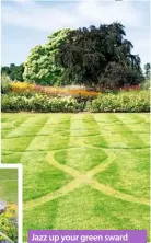  ??  ?? Jazz up your green sward with a flowing pattern, a bird bath feature or an interestin­g new shape