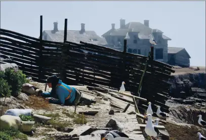  ?? COURTESY OF OIKONOS ?? Ecologist Rozy Bathrick checks prototypes of ceramic nests on Año Nuevo Island. Behind the nesting site fence is an abandoned lighthouse keeper’s mansion, a reminder of the island’s history.