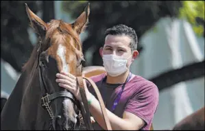  ?? Ashley Landis The Associated Press ?? A groom wearing a face mask leads a horse to the track at Santa Anita in Arcadia, Calif., on Friday. Horse racing returned to the track after being idled for 1½ months because of the coronaviru­s pandemic.