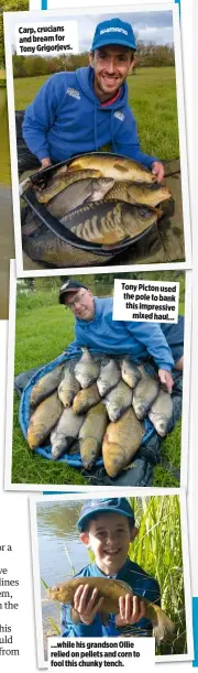  ??  ?? Carp, crucians and bream for Tony Grigorjevs.
Tony Picton used the pole to bank this impressive mixed haul... ...while his grandson Ollie relied on pellets and corn to fool this chunky tench.