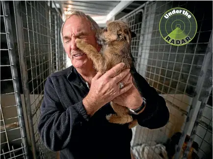  ?? PHOTO: DAVID UNWIN/STUFF ?? Retiring Jim Neill holds an Australian Terrier cross bred puppy destined for adoption from the Palmerston North pound.