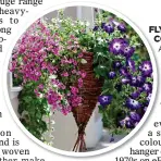  ?? ?? FLYING COLOURS:
A basket with petunias, diascia and scaevola