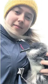  ??  ?? Madeleine O’Connor during sea bird research