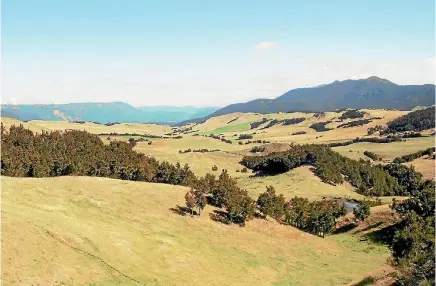  ?? PHOTOS: KATE TAYLOR/FAIRFAX NZ ?? Timahanga Station on the Napiertaih­ape road.