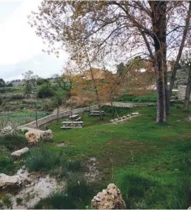  ??  ?? The 'arbol' (tree) natural spring on the slopes of Aitana