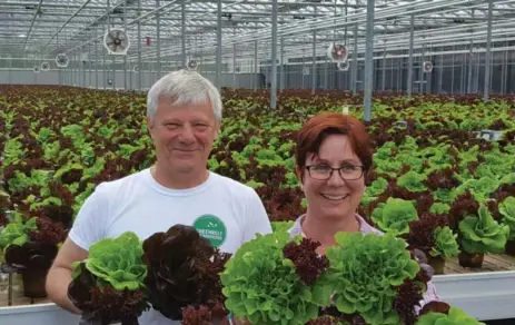  ?? SONIA DAY ?? Ian Adamson, president of Greenbelt Microgreen­s, and head grower Alice Farris show off their lettuces that won an Agri-food Award of Excellence.