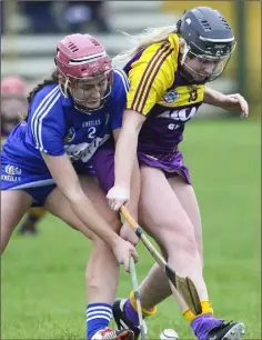  ??  ?? Aideen Brennan tussles with Aoife Collier of Laois.