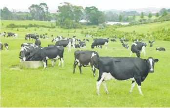  ?? Photo / File ?? The first step is understand­ing on-farm emissions, and more than 90 per cent of dairy farmers will receive farm emission reports this year.