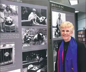  ?? PHOTOS BY NA LI / CHINA DAILY ?? Marion Walmsley Walker stands by the photo showing her playing with a baby giant panda when she and her family lived in Huaxiba, Chengdu, in 1938.