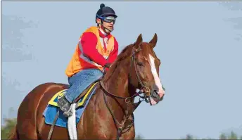  ?? BARBARA D. LIVINGSTON ?? Friend Or Foe, who stands at Smallwood Farm, was Virginia’s leading stallion with state-sired progeny on the track for the third consecutiv­e time in 2020.