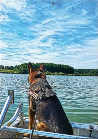  ?? SUBMITTED PHOTO — VICKI WOOTERS ?? Search & Rescue Dogs of Pennsylvan­ia helped search for the body of a reported drowning victim Friday.