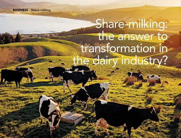  ?? GETTY IMAGES ?? ABOVE: The share-milking business model is common in the New Zealand dairy industry, where the share-milker usually pays rent in the form of a share of production for the use of the farm owner’s property.