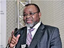  ?? ?? Minister of Mineral Resources Gwede Mantashe