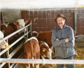  ?? Foto: Alexander Kaya ?? Klaus Vidal in seinem Stall zwischen seinen Kühen und Kälbern. Der Bio-Bauer aus dem Kreis Neu-Ulm sagt: „Das Volksbegeh­ren geht in die falsche Richtung.“