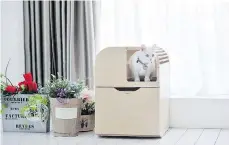  ?? TUFT + PAW ?? This beautiful, modern litter box lets cats exercise their natural inclinatio­n to climb, while a divider gives them privacy as well.