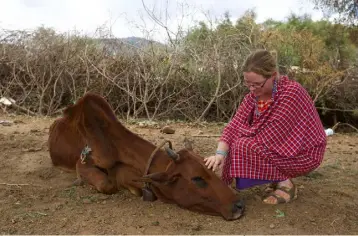  ??  ?? Paula Hynes with a cow suffering in the drought in Kenya on the RTÉ