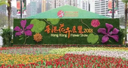  ??  ?? PAMERAN Bunga
Hong Kong 2018 mempamerka­n lebih 30,000 varieti bunga
dahlia pelbagai bentuk dan warna dari seluruh dunia.