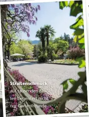  ??  ?? Straßensch­muck aus tausenden Blüten begeistert nicht nur Gartenfreu­nde.