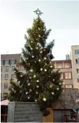  ??  ?? Der Christbaum 2008: Er war nur 18 Meter hoch und vielen zu mickrig. „Schuld“sei der Rathauspla­tz, hieß es.