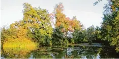  ??  ?? Rechbergre­uthen hat auch einen ganz idyllisch gelegenen Dorfweiher. Baden ist zwar nicht erlaubt. Wenn er aber zugefroren ist, wir darauf Schlittsch­uh gefahren.