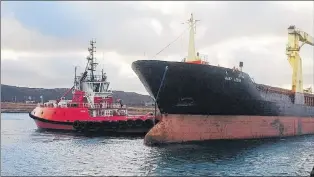  ?? SUBMITTED PHOTO BY DFO ?? The MV Baby Leeyn arrived safely back in Argentia early Monday morning. It was cast adrift on Saturday after it experience­d engine trouble, and the company that owns the ship had to send out tugboats to bring it back to dock. The Placentia Hope was one...