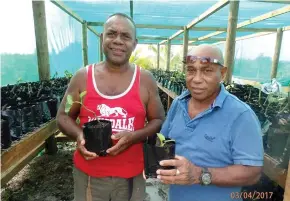  ?? Photo: SUPPLIED ?? Yaqona farmers with samples of young yaqona plants nurtured in the Korovou nursery.