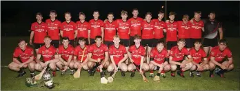  ??  ?? The Oulart-The Ballagh side who lost out to Shelmalier­s in the ‘B’ decider.