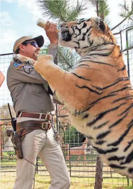  ?? PROVIDED BY NETFLIX ?? Joe Exotic and “Tiger King” drew ravenous audiences.