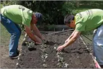  ?? PETE BANNAN – DIGITAL FIRST MEDIA ?? Saint-Gobain employees Paul Benensky and Xiaofeng Tang plant kale and spinach at the community garden. Employees of the company volunteer to work plots with the produce going to food programs like the Chester County Food Bank.