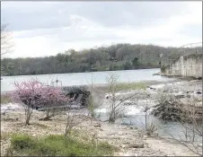  ?? RICK PECK/SPECIAL TO MCDONALD COUNTY PRESS ?? Redbud trees lend a pop of spring color along the Tanyard Creek trail.