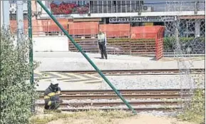  ?? PEDRO CATENA. ?? Vista de la zona donde tuvo lugar el trágico suceso