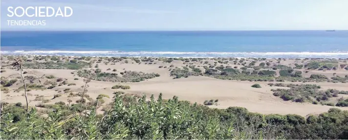  ??  ?? ► Vista de las dunas de Santo Domingo.