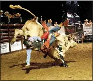  ?? (File Photo/NWA Democrat-Gazette) ?? A bull rider takes a fall during the 2019 Siloam Springs Rodeo. This year’s rodeo is postponed until July 16 through 18 in hopes restrictio­ns on large events will be lifted.