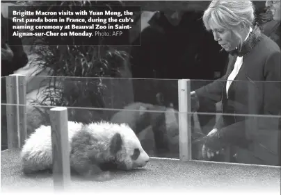  ??  ?? Brigitte Macron visits with Yuan Meng, the first panda born in France, during the cub's naming ceremony at Beauval Zoo in SaintAigna­n-sur-Cher on Monday.