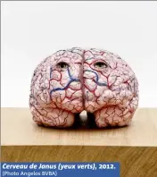  ?? (Photo Angelos BVBA) ?? Cerveau de Janus (yeux verts), .