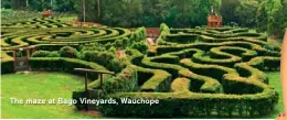  ??  ?? The maze at Bago Vineyards, Wauchope