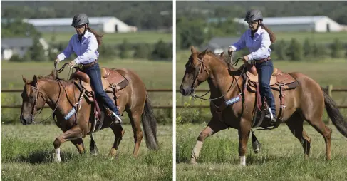  ??  ?? LEFT: Once your horse is calm and willing to go slow, give a deliberate “move forward” cue, one step at a time. RIGHT: With repetition, you’ll teach your horse to slowly, carefully, and safely walk across the ditch without jumping.