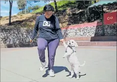  ?? Archivo ?? • Tras realizar el paseo, se recomienda lavar las patas de la mascota y limpiar su pelaje con una toalla húmeda.